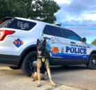 A sweet farewell from retiring police K9 after years of devoted service "Godspeed my friend and thank you for all your service" 🥲 This gorgeous dog, named Bane, has been a K9 officer with the Fort Walton Beach Police Department in Florida for the past five years, giving back to his community. As a furry representative of the police, Bane has dedicated his time to fighting crime on the streets and outreach.