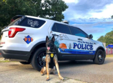 A sweet farewell from retiring police K9 after years of devoted service "Godspeed my friend and thank you for all your service" 🥲 This gorgeous dog, named Bane, has been a K9 officer with the Fort Walton Beach Police Department in Florida for the past five years, giving back to his community. As a furry representative of the police, Bane has dedicated his time to fighting crime on the streets and outreach.